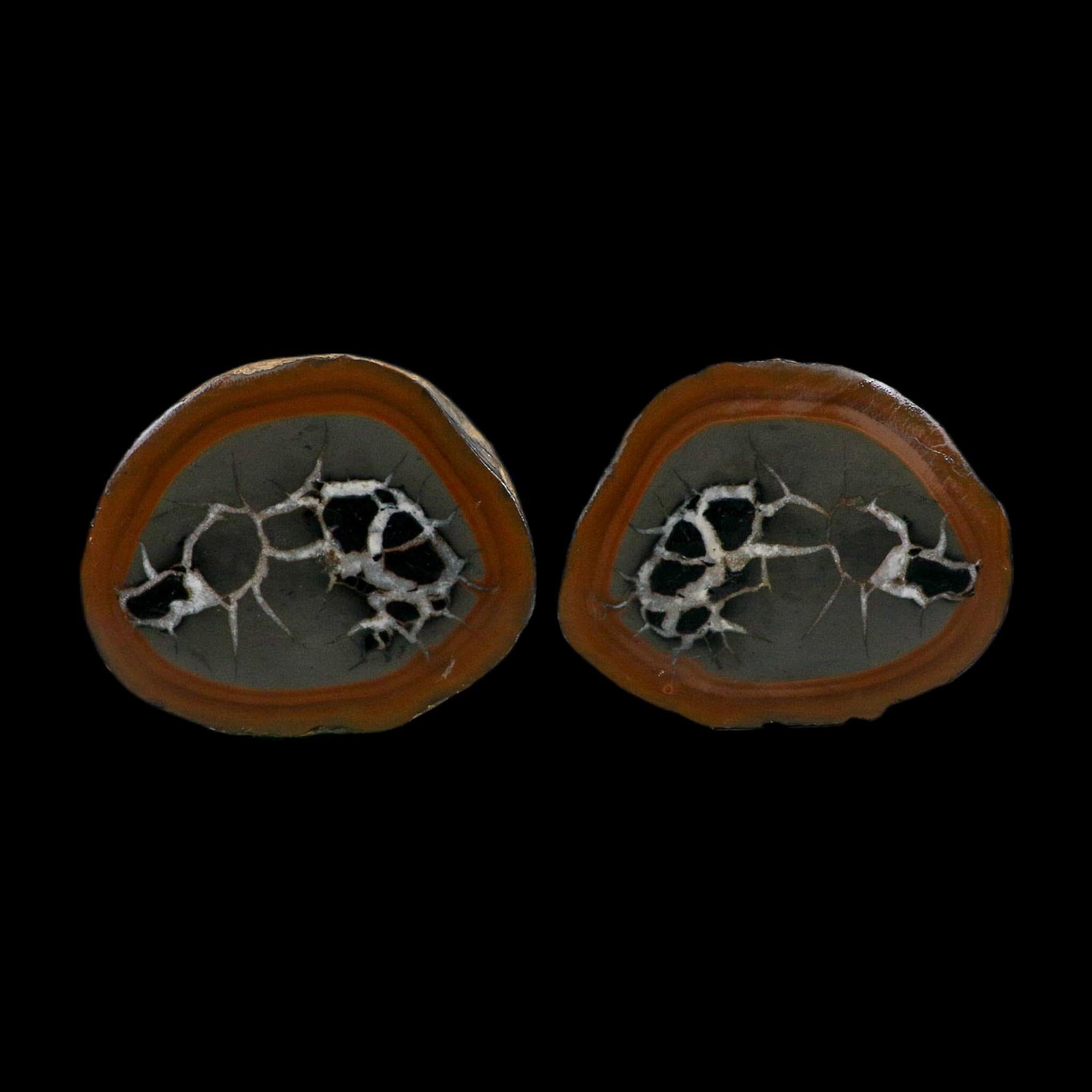 3.1" Septarian Dragon Stone Polished Halves Nodule Mineral Specimen Morocco - Fossil Age Minerals