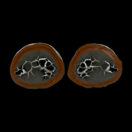 3.1" Septarian Dragon Stone Polished Halves Nodule Mineral Specimen Morocco