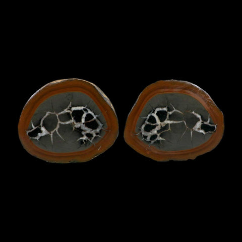 3.1" Septarian Dragon Stone Polished Halves Nodule Mineral Specimen Morocco
