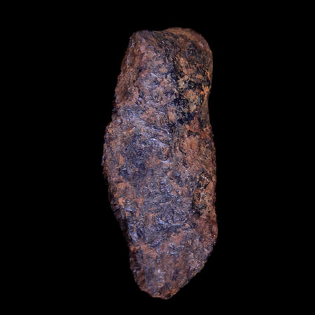 Gibeon Meteorite Specimen Riker Display Namibia Africa Meteorites 8.4 Grams