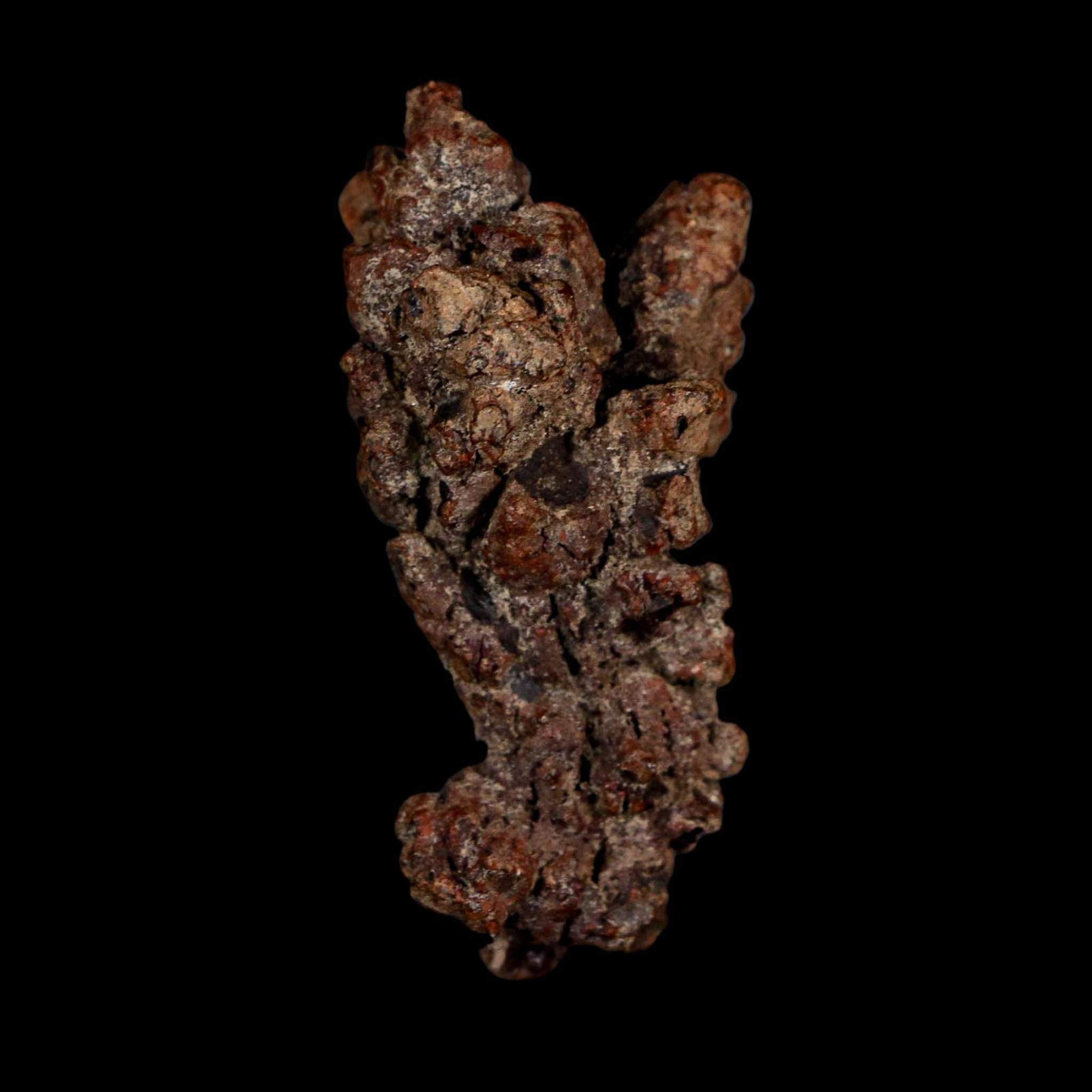 2.3" Prehistoric Coprolite Fossil Specimen Poop Dung Miocene Age Madagascar - Fossil Age Minerals