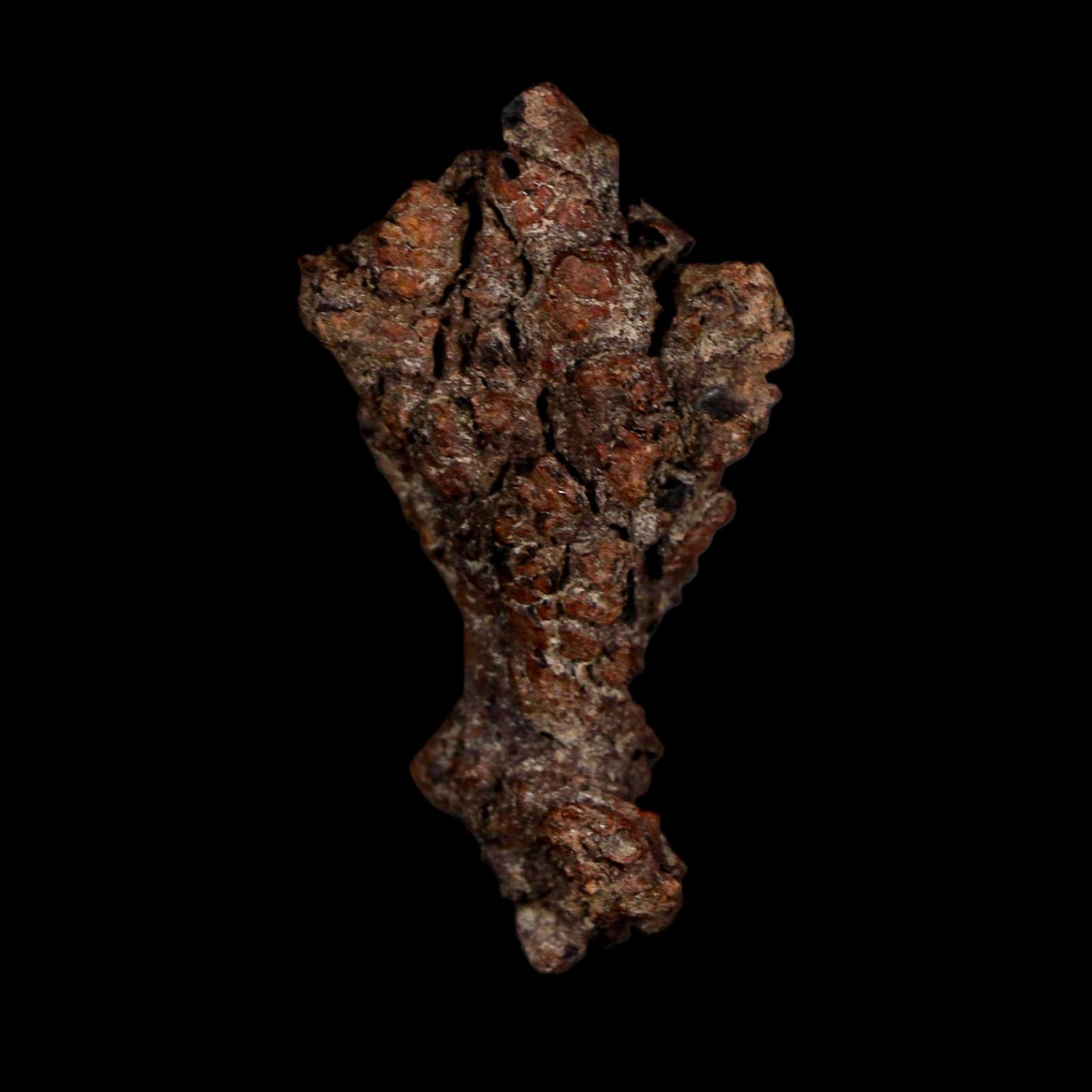 2.3" Prehistoric Coprolite Fossil Specimen Poop Dung Miocene Age Madagascar - Fossil Age Minerals