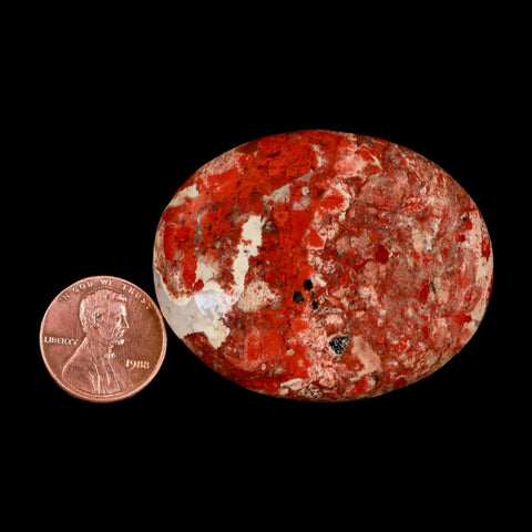 2" Polished Natural Brecciated Jasper Stone Worry Palm Stone Minas Gerais Brazil