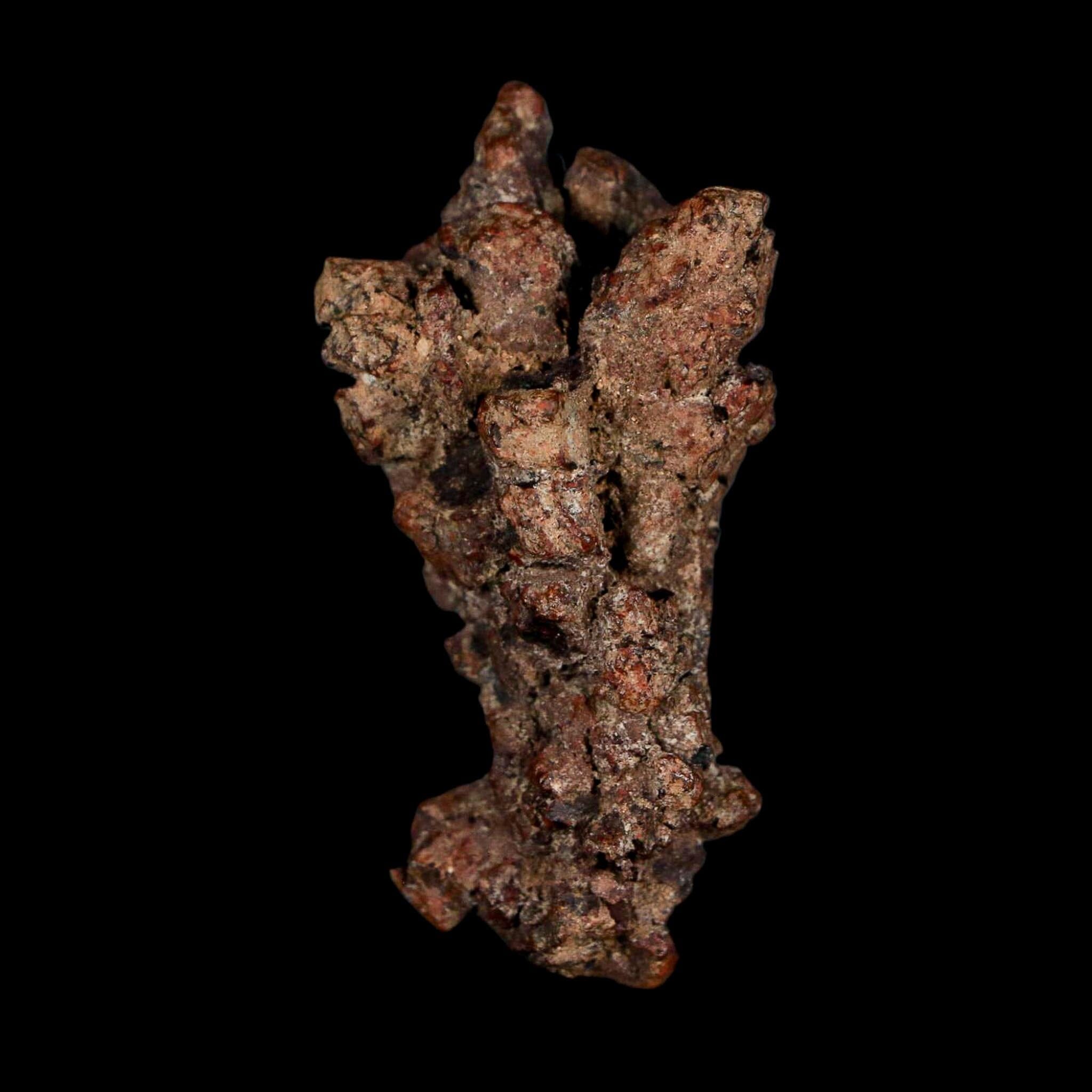 2.3" Prehistoric Coprolite Fossil Specimen Poop Dung Miocene Age Madagascar - Fossil Age Minerals