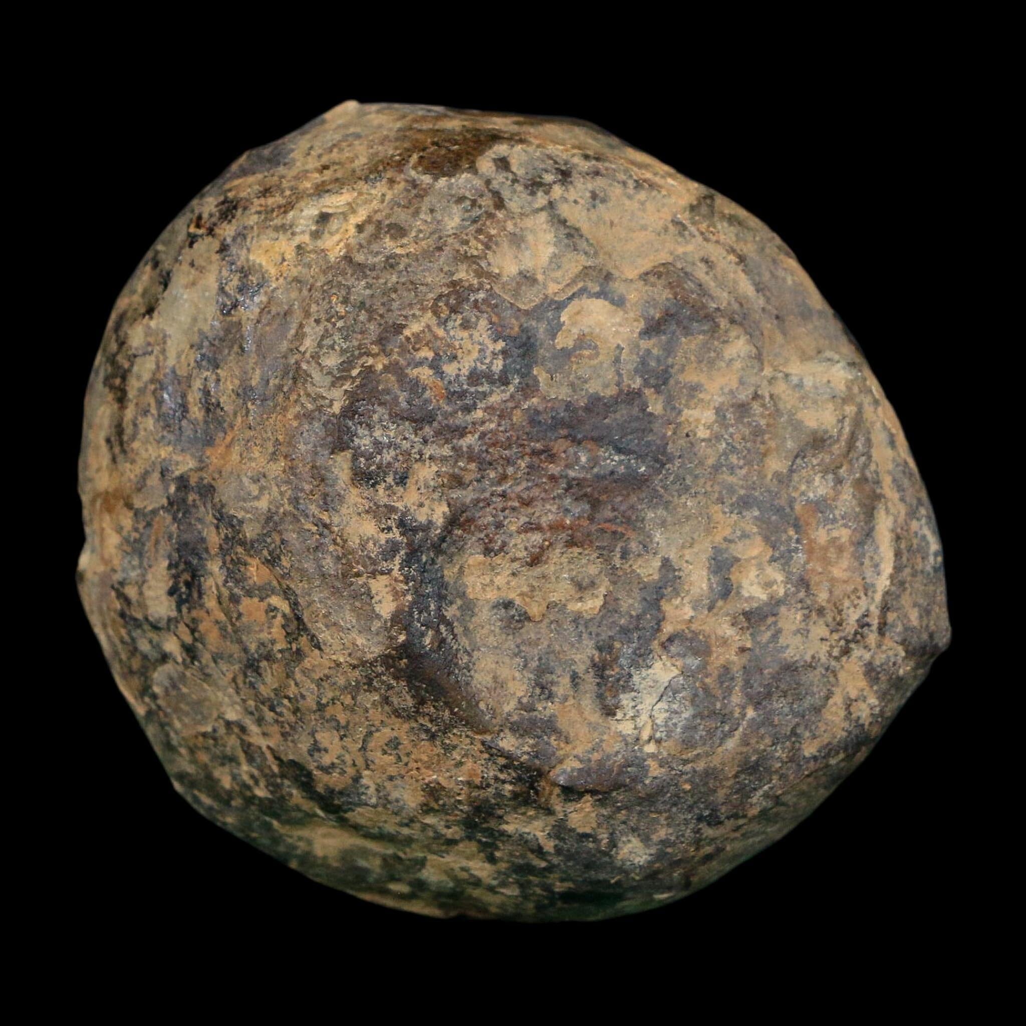 2.2" Septarian Dragon Stone Polished Halves Nodule Mineral Specimen Morocco - Fossil Age Minerals