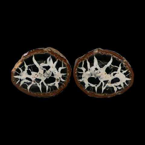 3.2" Septarian Dragon Stone Polished Halves Nodule Mineral Specimen Morocco