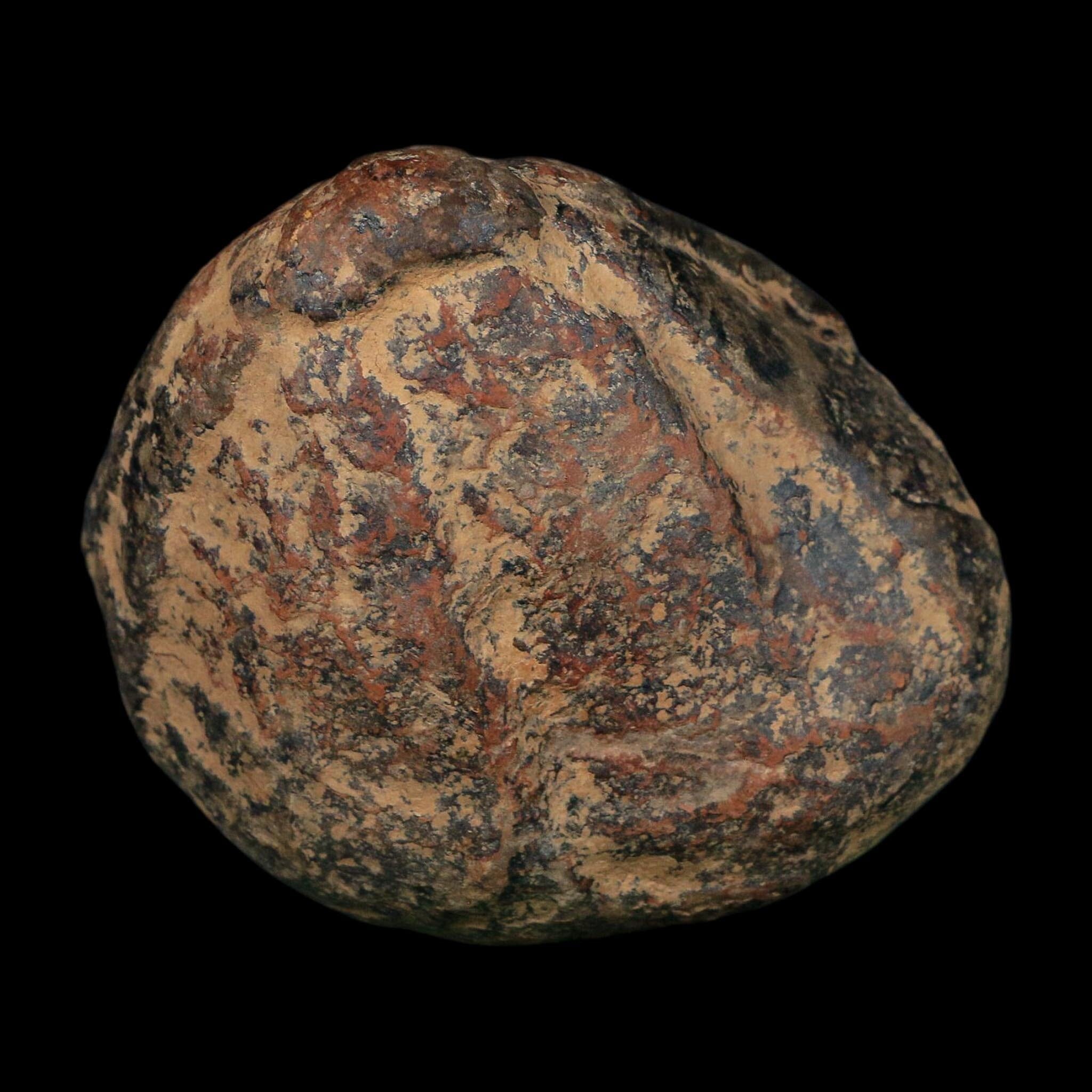 3.2" Septarian Dragon Stone Polished Halves Nodule Mineral Specimen Morocco - Fossil Age Minerals