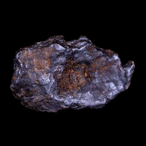 Uruacu Meteorite Specimen Riker Display Goias Brazil Meteorites 2.6 Grams - Fossil Age Minerals