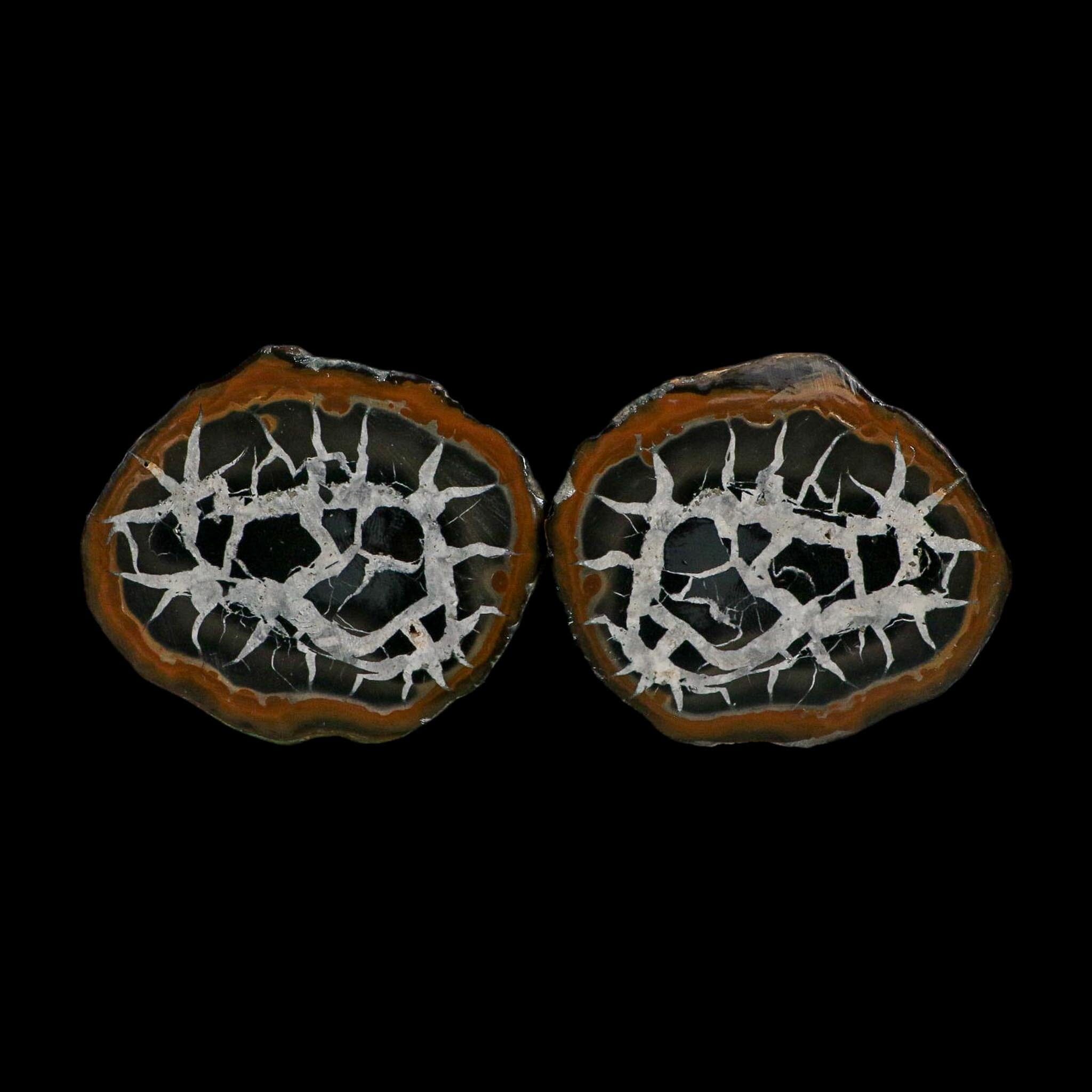 2.9" Septarian Dragon Stone Polished Halves Nodule Mineral Specimen Morocco - Fossil Age Minerals