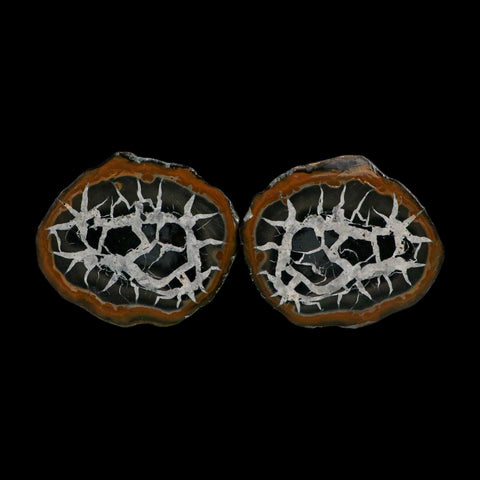 2.9" Septarian Dragon Stone Polished Halves Nodule Mineral Specimen Morocco