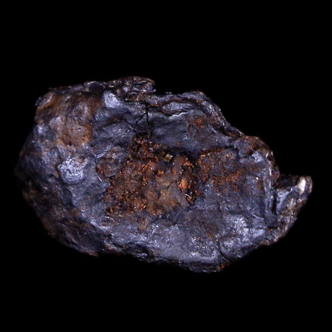 Uruacu Meteorite Specimen Riker Display Goias Brazil Meteorites 2.6 Grams - Fossil Age Minerals