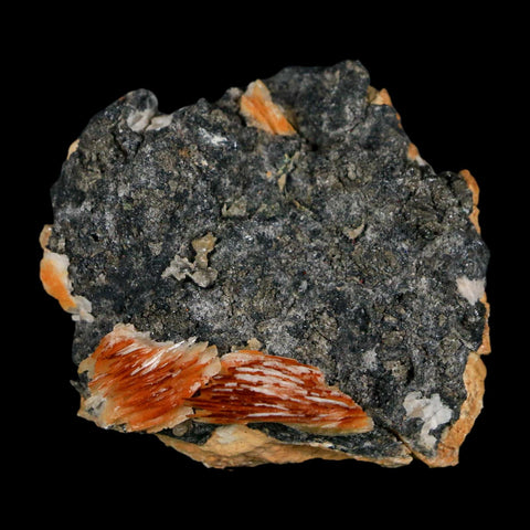 1.8" Sparkly Orange Barite Blades, Cerussite Crystals, Galena Crystal Mineral Morocco - Fossil Age Minerals