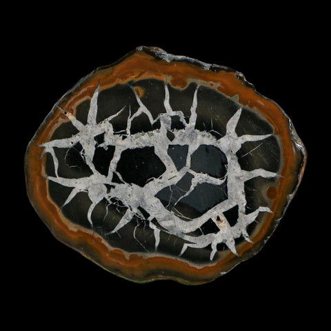 2.9" Septarian Dragon Stone Polished Halves Nodule Mineral Specimen Morocco