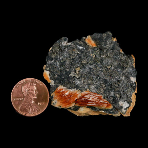 1.8" Sparkly Orange Barite Blades, Cerussite Crystals, Galena Crystal Mineral Morocco - Fossil Age Minerals