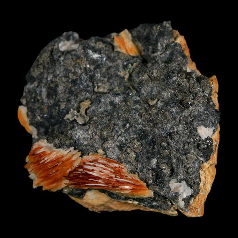 1.8" Sparkly Orange Barite Blades, Cerussite Crystals, Galena Crystal Mineral Morocco - Fossil Age Minerals