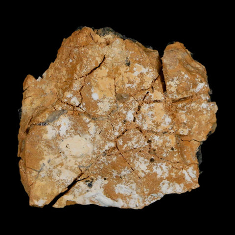 1.8" Sparkly Orange Barite Blades, Cerussite Crystals, Galena Crystal Mineral Morocco - Fossil Age Minerals
