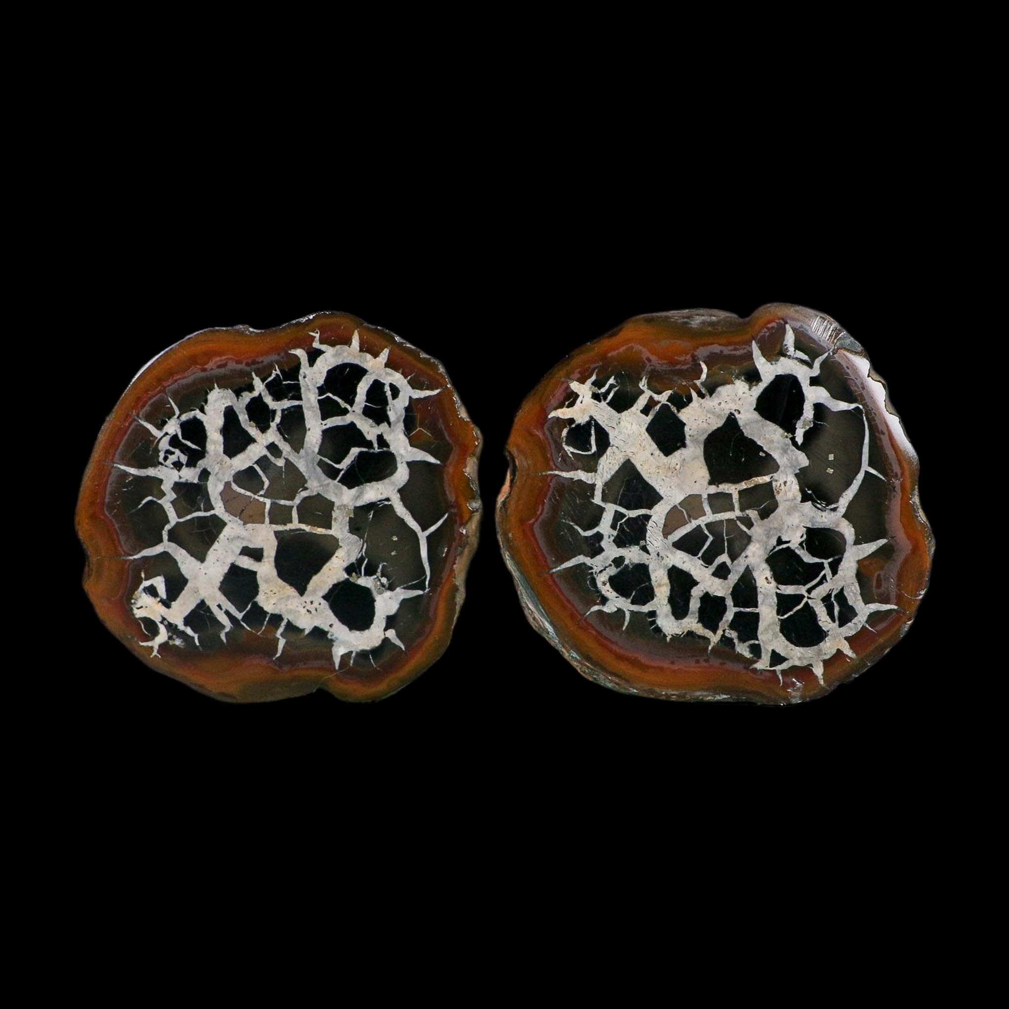 3" Septarian Dragon Stone Polished Halves Nodule Mineral Specimen Morocco - Fossil Age Minerals