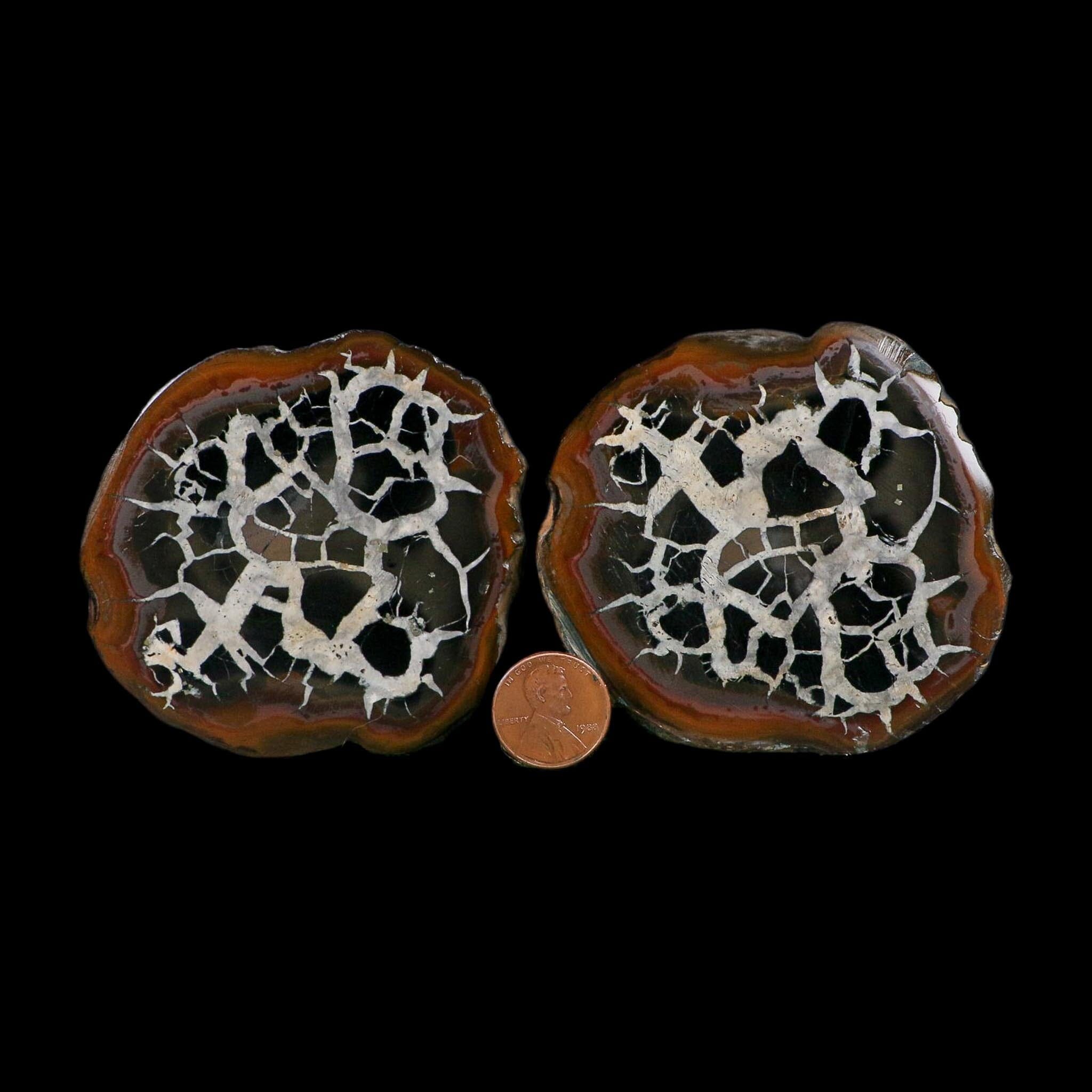 3" Septarian Dragon Stone Polished Halves Nodule Mineral Specimen Morocco - Fossil Age Minerals