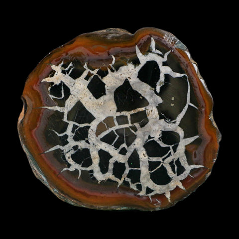 3" Septarian Dragon Stone Polished Halves Nodule Mineral Specimen Morocco