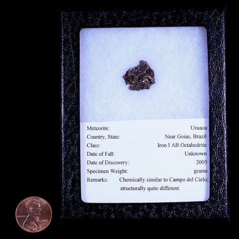 Sayh Al Uhaymir Meteorite Specimen Riker Display Al Wusta, Oman Meteorites 3.8 Grams - Fossil Age Minerals