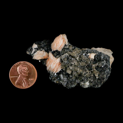 2.4" Sparkly Pink Barite Blades, Cerussite Crystals, Galena Crystal Mineral Morocco - Fossil Age Minerals