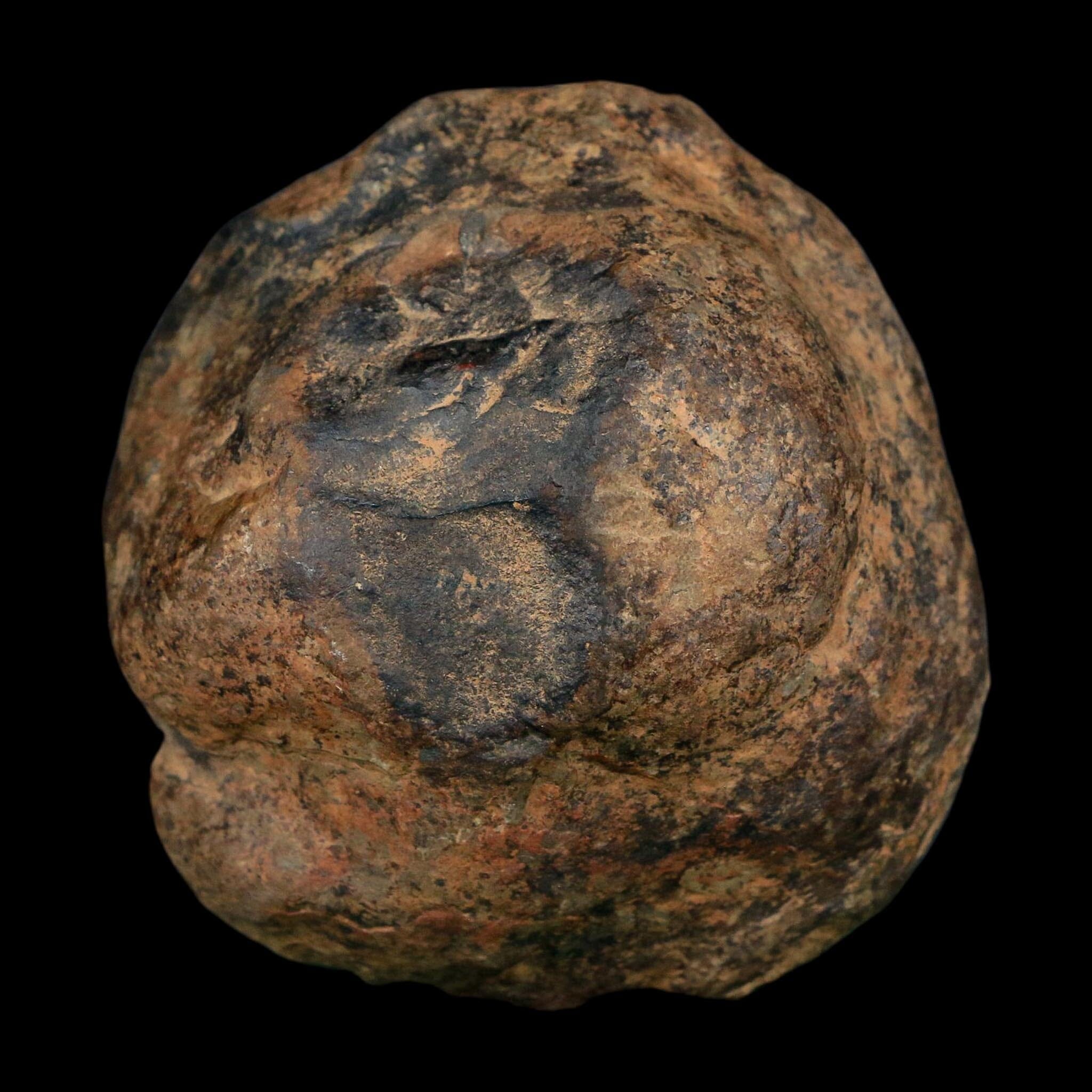 3" Septarian Dragon Stone Polished Halves Nodule Mineral Specimen Morocco - Fossil Age Minerals