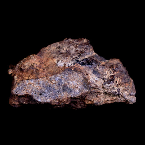 Sayh Al Uhaymir Meteorite Specimen Riker Display Al Wusta, Oman Meteorites 4 Grams - Fossil Age Minerals