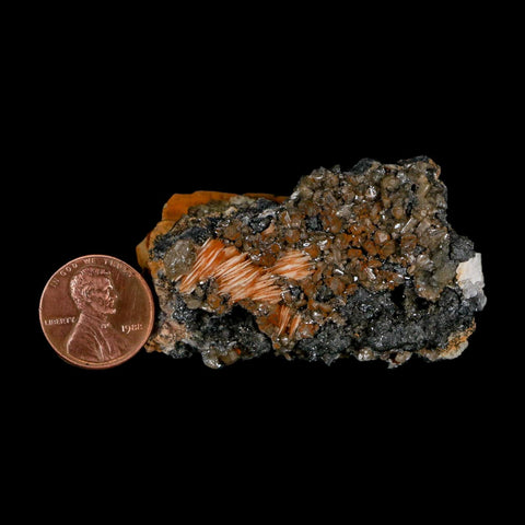 2.2" Sparkly Orange Barite Blades, Cerussite Crystals, Galena Crystal Mineral Morocco - Fossil Age Minerals