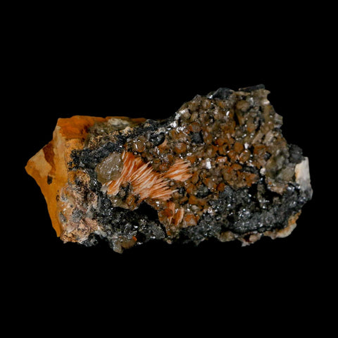 2.2" Sparkly Orange Barite Blades, Cerussite Crystals, Galena Crystal Mineral Morocco - Fossil Age Minerals