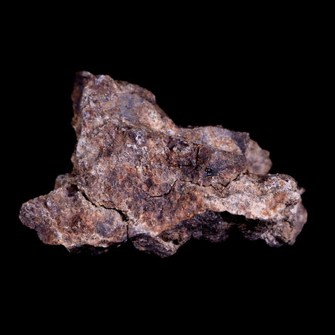 Sayh Al Uhaymir Meteorite Specimen Riker Display Al Wusta, Oman Meteorites 6.1 Grams - Fossil Age Minerals