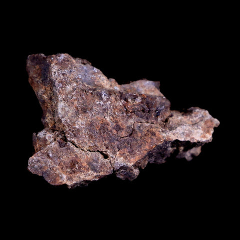 Sayh Al Uhaymir Meteorite Specimen Riker Display Al Wusta, Oman Meteorites 6.1 Grams - Fossil Age Minerals