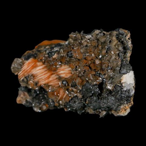 2.2" Sparkly Orange Barite Blades, Cerussite Crystals, Galena Crystal Mineral Morocco - Fossil Age Minerals
