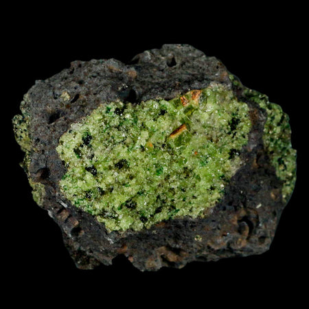 XL 4.1" Natural Emerald Peridot Crystal Minerals On Volcanic Rock Gila, Arizona