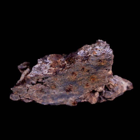 Sayh Al Uhaymir Meteorite Specimen Riker Display Al Wusta, Oman Meteorites 6.1 Grams - Fossil Age Minerals
