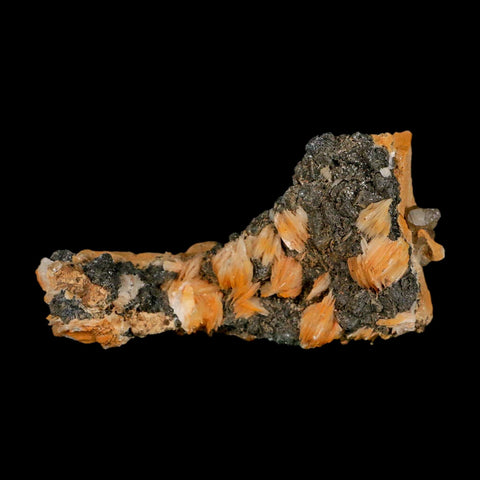 3.3" Sparkly Orange Barite Blades, Cerussite Crystals, Galena Crystal Mineral Morocco - Fossil Age Minerals