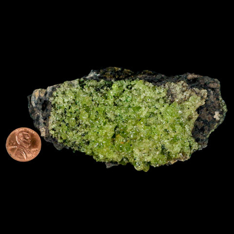 XL 4.3" Natural Emerald Peridot Crystal Minerals On Volcanic Rock Gila, Arizona - Fossil Age Minerals