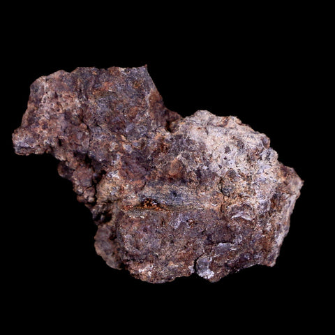 Sayh Al Uhaymir Meteorite Specimen Riker Display Al Wusta, Oman Meteorites 5.3 Grams - Fossil Age Minerals