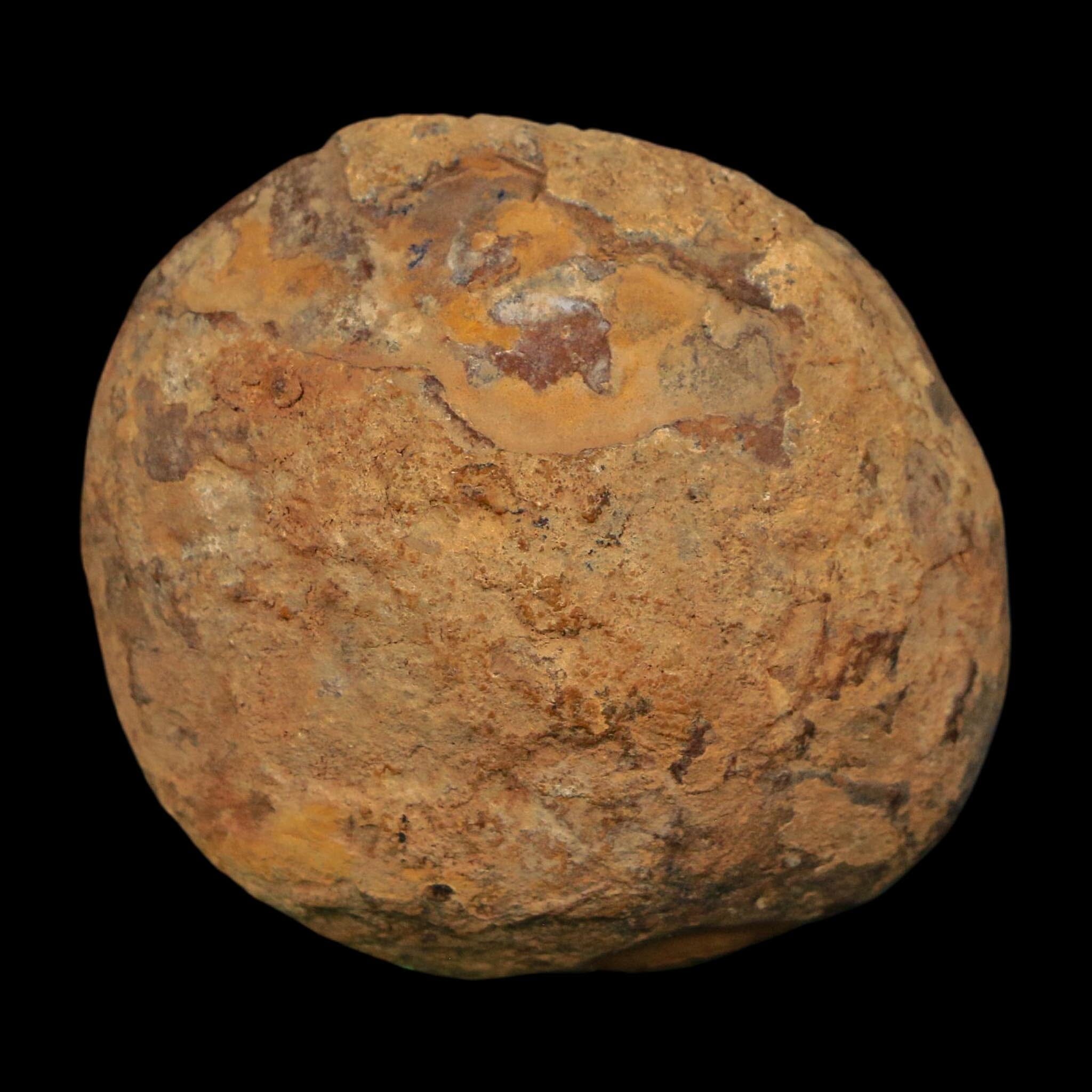 2.2" Septarian Dragon Stone Polished Halves Nodule Mineral Specimen Morocco - Fossil Age Minerals