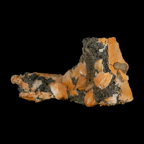 3.3" Sparkly Orange Barite Blades, Cerussite Crystals, Galena Crystal Mineral Morocco - Fossil Age Minerals