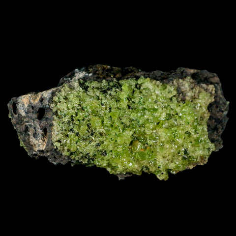 XL 4.3" Natural Emerald Peridot Crystal Minerals On Volcanic Rock Gila, Arizona - Fossil Age Minerals