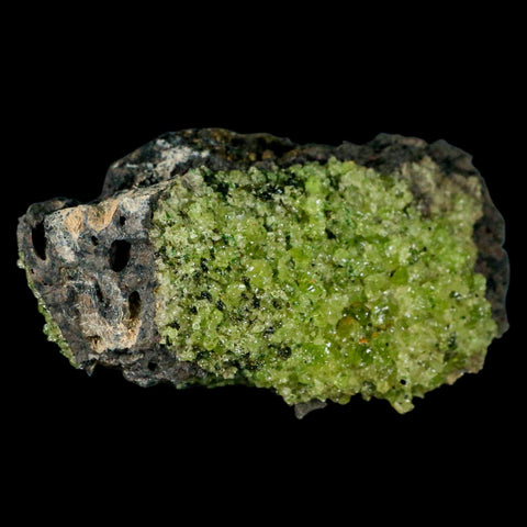 XL 4.3" Natural Emerald Peridot Crystal Minerals On Volcanic Rock Gila, Arizona - Fossil Age Minerals