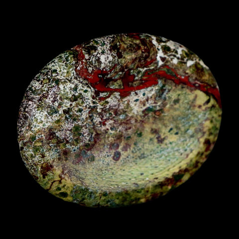 2" Polished Natural Dragon Blood Jasper Stone Worry Palm Stone Australia - Fossil Age Minerals
