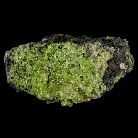 XL 4.3" Natural Emerald Peridot Crystal Minerals On Volcanic Rock Gila, Arizona - Fossil Age Minerals