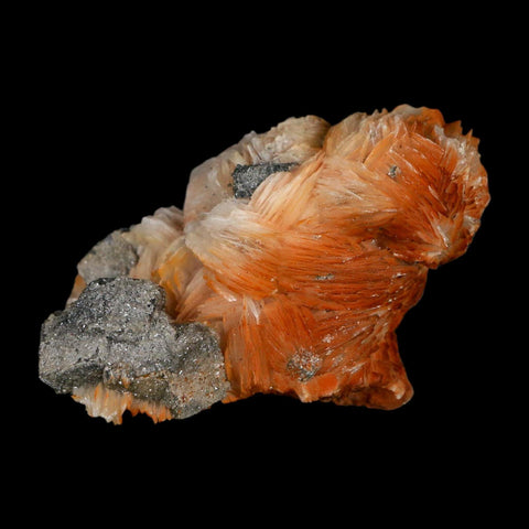 2.3" Sparkly Orange Barite Blades, Cerussite Crystals, Galena Crystal Mineral Morocco - Fossil Age Minerals