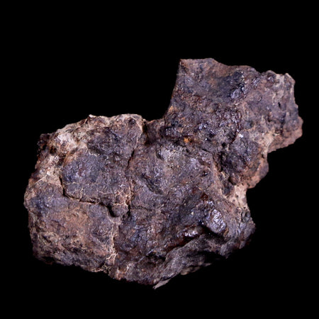 Sayh Al Uhaymir Meteorite Specimen Riker Display Al Wusta, Oman Meteorites 5.3 Grams