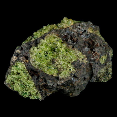 XL 4.3" Natural Emerald Peridot Crystal Minerals On Volcanic Rock Gila, Arizona - Fossil Age Minerals
