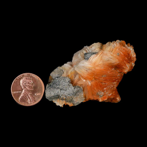 2.3" Sparkly Orange Barite Blades, Cerussite Crystals, Galena Crystal Mineral Morocco - Fossil Age Minerals