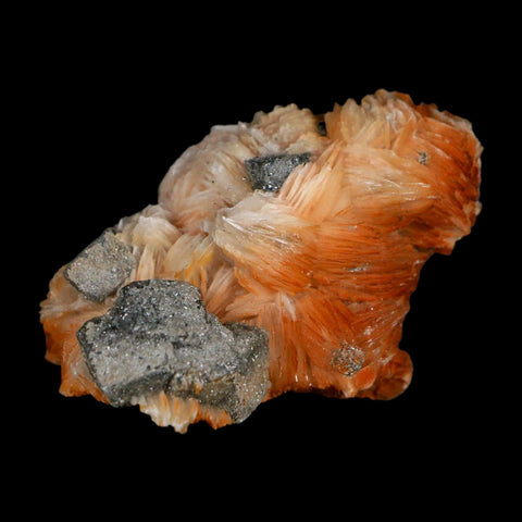2.3" Sparkly Orange Barite Blades, Cerussite Crystals, Galena Crystal Mineral Morocco - Fossil Age Minerals