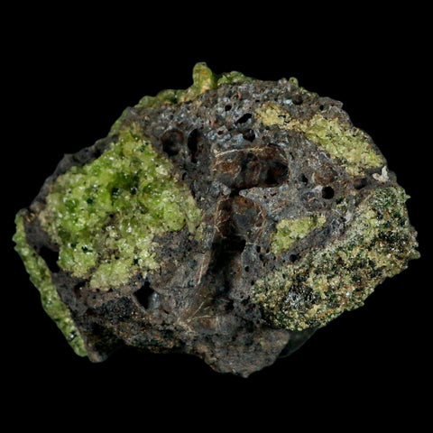 XL 4.3" Natural Emerald Peridot Crystal Minerals On Volcanic Rock Gila, Arizona - Fossil Age Minerals