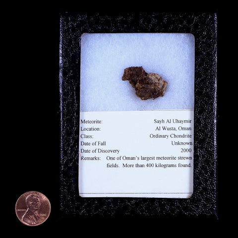 Sayh Al Uhaymir Meteorite Specimen Riker Display Al Wusta, Oman Meteorites 5.3 Grams - Fossil Age Minerals